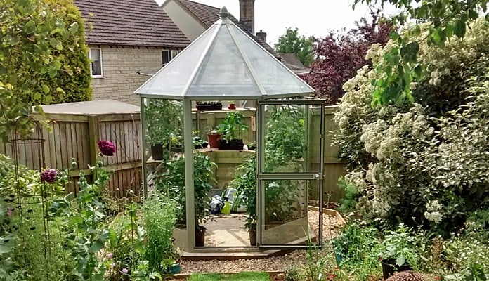 7ft x 7ft Willow Grey Elegance Glasshouse, Mrs Fern - Gloucestershire 7ft x 7ft Willow Grey Elegance Glasshouse, Mrs Fern - Gloucestershire