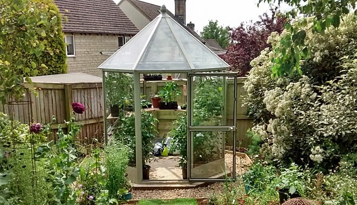 7ft x 7ft Willow Grey Elegance Glasshouse, Mrs Fern - Gloucestershire