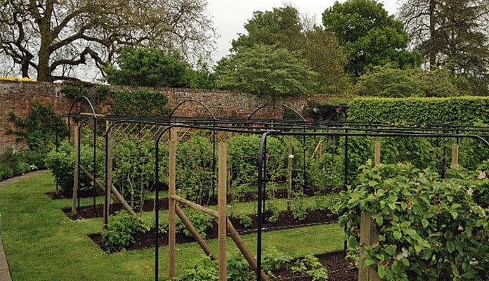 Curved Steel Fruit Cage 2