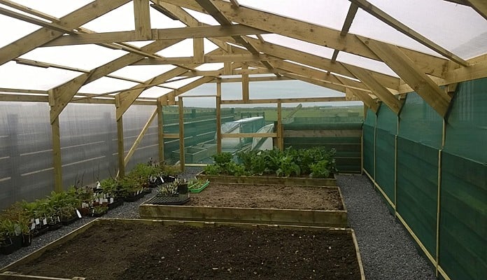Windbreak and Gro-Thermal Netting, Mrs L Warren - Caithness Windbreak and Gro-Thermal Netting, Mrs L Warren - Caithness
