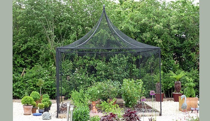 3m x 3m Peak Roof Steel Fruit Cage, Mr Bell - Wiltshire