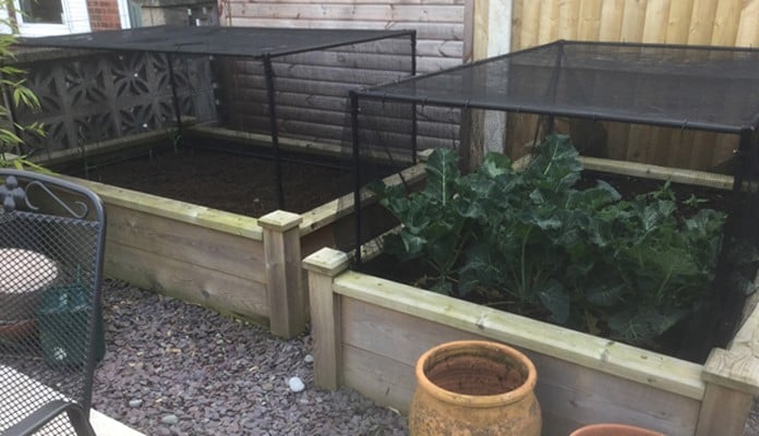 Slot & Lock Cages Butterfly Netting 4ftx6ft Superior Raised Beds, Mrs Straw - Derbyshire