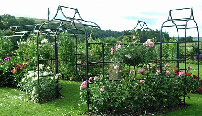 Ogee Arches, Curved Fence and Pergola 3