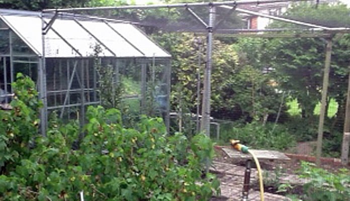 4m x 3m Aluminium Fruit Cage, Mr Wright - Dorset
