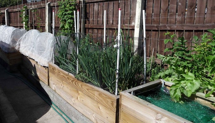 2ft x 6ft Allotment Raised Beds, Mr Ellis - Stockton-on-Tees 2ft x 6ft Allotment Raised Beds, Mr Ellis - Stockton-on-Tees