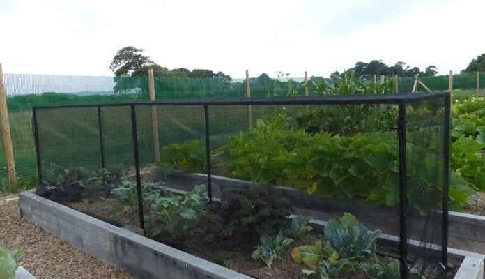 4.45 x 0.9m Bespoke Portable Steel Brassica Cage - Mr and Mrs Ford, Devon