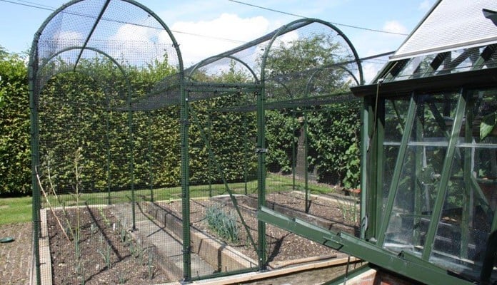 Roman Arch Fruit Cage - Colour matched to Greenhouse Roman Arch Fruit Cage - Colour matched to Greenhouse