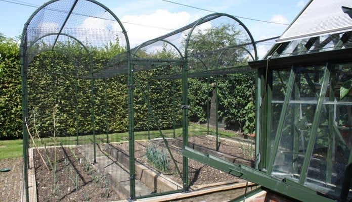 Roman Arch Fruit Cage - Colour matched to Greenhouse