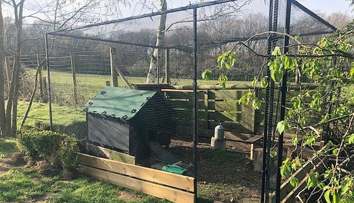 2.5m x3.5m Steel Poultry Cage, Miss Milard - Hampshire 2.5m x3.5m Steel Poultry Cage, Miss Milard - Hampshire