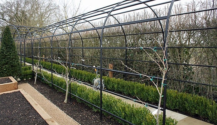 Espalier Detail