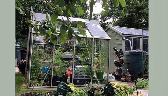 6ft x 8ft Willow Grey Greenhouse, Jan - Kent 6ft x 8ft Willow Grey Greenhouse, Jan - Kent