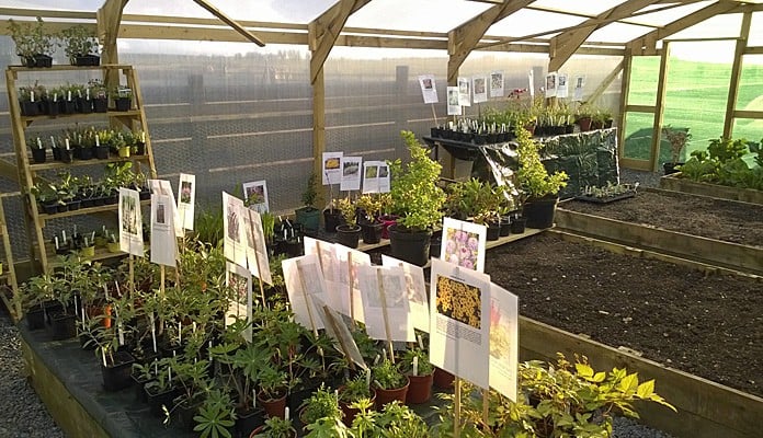 Windbreak and Gro-Thermal Netting, Mrs L Warren - Caithness Windbreak and Gro-Thermal Netting, Mrs L Warren - Caithness