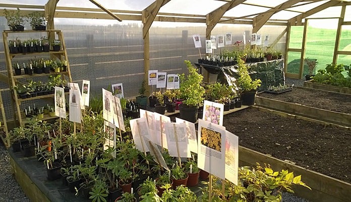 Windbreak and Gro-Thermal Netting, Mrs L Warren - Caithness