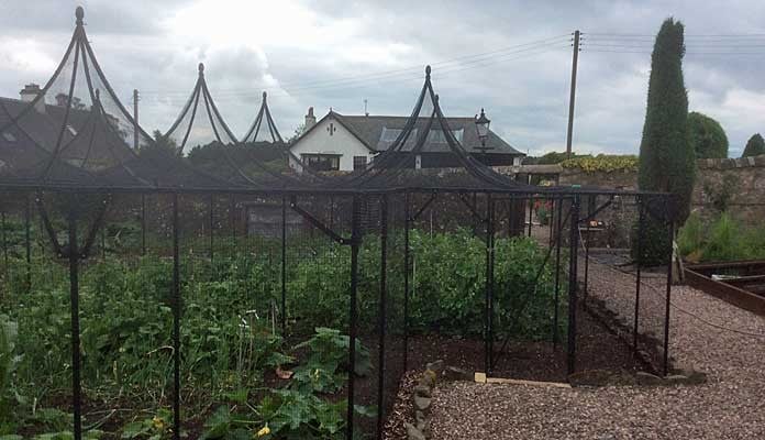 Fruit Cage Steel Peaks with Cut Out 6