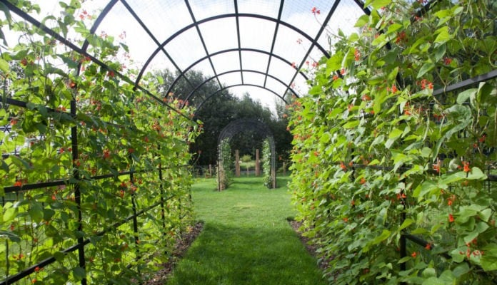 Roman Pergola, Mrs Jordan - Essex