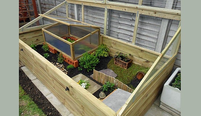 4ft x 8ft Allotment Raised Bed Tortoise Enclosure, Mrs Huxtable - Hertfordshire 4ft x 8ft Allotment Raised Bed Tortoise Enclosure, Mrs Huxtable - Hertfordshire