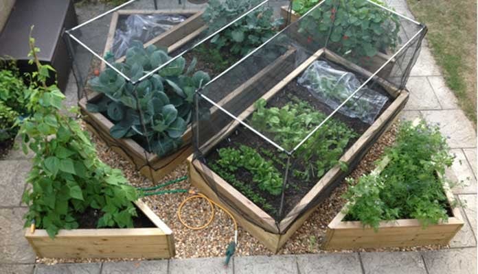 4ft x 8ft Standard and 3 Tier Corner Raised Beds, Mr H - Hampshire 4ft x 8ft Standard and 3 Tier Corner Raised Beds, Mr H - Hampshire