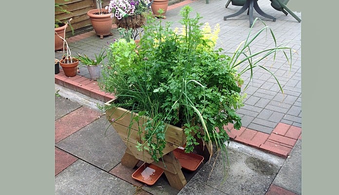 2ft Mini Manger, Miss S Keen - West Midlands 2ft Mini Manger, Miss S Keen - West Midlands
