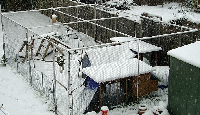 4m x 6m Aluminium Poultry Cage, Mr Harris - Hampshire