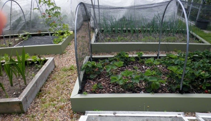 MRB-002 Superior Metal Raised Beds Heritage Green, Mr Tigwell - Surrey MRB-002 Superior Metal Raised Beds Heritage Green, Mr Tigwell - Surrey