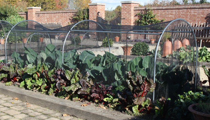 X Large Garden Netting Hoop, Chewton Glen Kitchen Garden