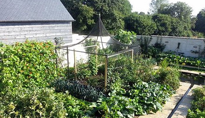 3m x 3m Peak Roof Steel Fruit Cage Mr Ballentyne - Brittany France