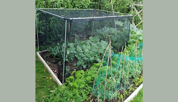 GDN-455 Harrod Stormproof Cage Natural 1.2m, Mr Sharp - Warwickshire