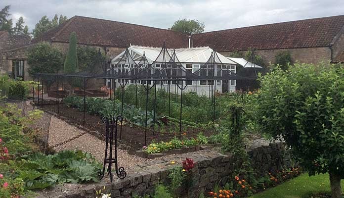 Fruit Cage Steel Peaks with Cut Out 7 Fruit Cage Steel Peaks with Cut Out 7