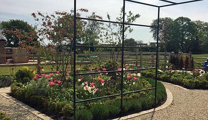 Daisy Barn Garden Square Pergola lavender edged