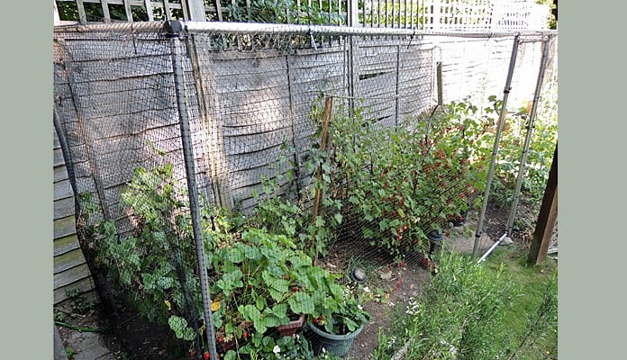 5 x 1.5m Bespoke Aluminium Fruit Cage, Mr  and Mrs Croot - Hertfordshire