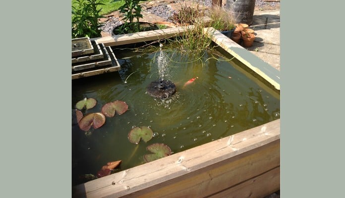 4ft x 4ft Raised Bed Pond, Mr Hallet - Somerset