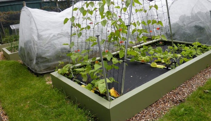 MRB-002 Superior Metal Raised Beds Heritage Green, Mr Tigwell - Surrey