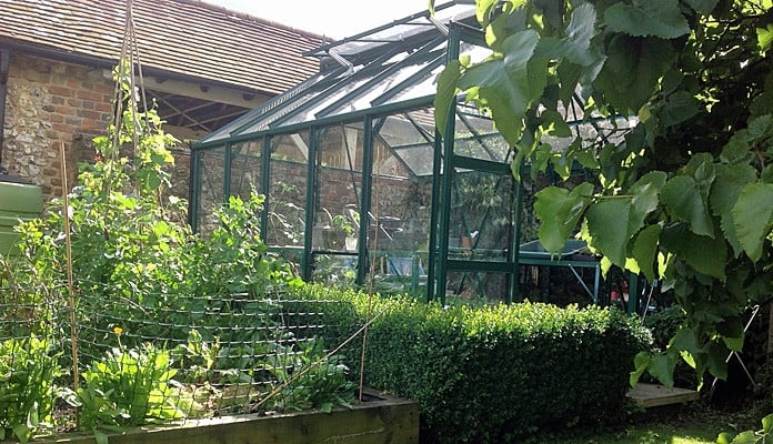 8ft x 10ft Pine Green Greenhouse, Mrs Musson - Buckinghamshire