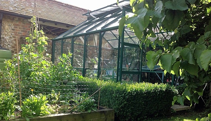 8ft x 10ft Pine Green Greenhouse, Mrs Musson - Buckinghamshire 8ft x 10ft Pine Green Greenhouse, Mrs Musson - Buckinghamshire