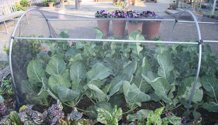 2m Long Linking Rod Kit, Chewton Glen Kitchen Garden 2m Long Linking Rod Kit, Chewton Glen Kitchen Garden