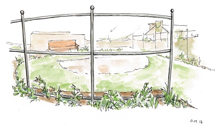 Growing Frames for Wind Protection Illustration Growing Frames for Wind Protection Illustration
