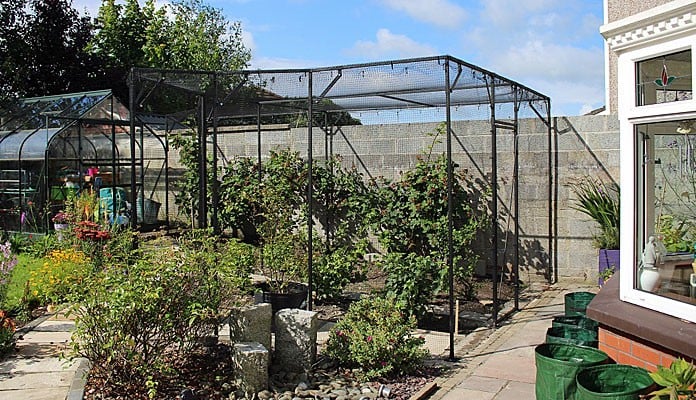 Fruit Cage Steel Angled Sloped After, Mr M - Ireland