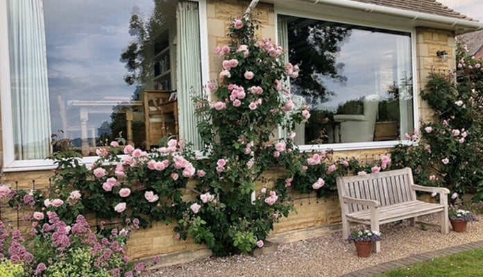 Decorative Rust Natural Wall Trellis - Mrs Garner, Leicestershire