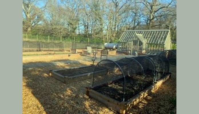 1 and 2 Tier Superior Bespoke Raised Beds with hoops and butterfly net covers 1 and 2 Tier Superior Bespoke Raised Beds with hoops and butterfly net covers