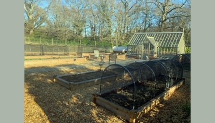 1 and 2 Tier Superior Bespoke Raised Beds with hoops and butterfly net covers 