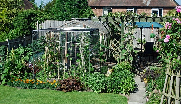 1.9m x 1.8m Bespoke Aluminium Fruit Cage, Mr Gibbon - Shropshire