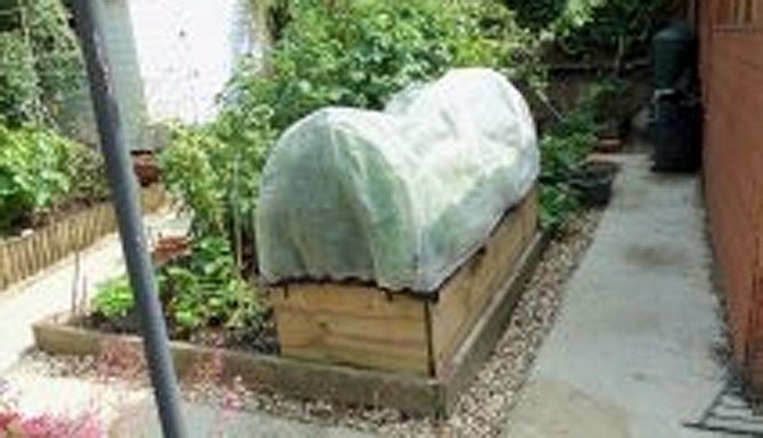 2ft x 6ft Allotment Raised Beds, Mrs Logan - Northamptonshire