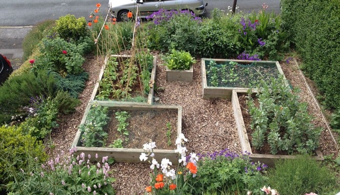 2ft x 2ft, 4ft x 8ft, 4ft x 6ft Standard Raised Beds, Ms Frascina, Sheffield 2ft x 2ft, 4ft x 8ft, 4ft x 6ft Standard Raised Beds, Ms Frascina, Sheffield