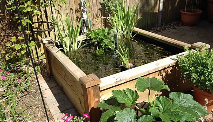 4ft x 4ft Raised Bed Pond, Mrs Templeton - Hampshire