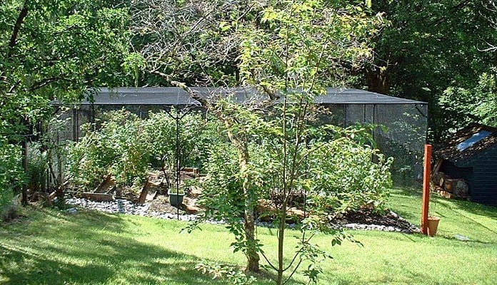 7.6m x 6.03m Bespoke Sloping Steel Fruit Cage, Mr Aitken - Scottish Highlands 7.6m x 6.03m Bespoke Sloping Steel Fruit Cage, Mr Aitken - Scottish Highlands