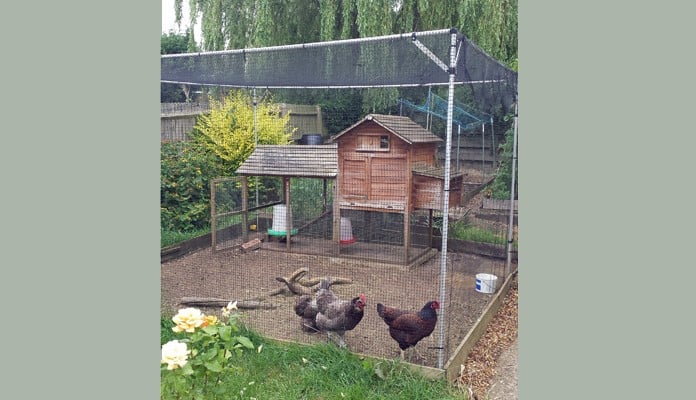 3.5m x 3.5m Aluminium Poultry Cage, Mr Herbert - Buckinghamshire