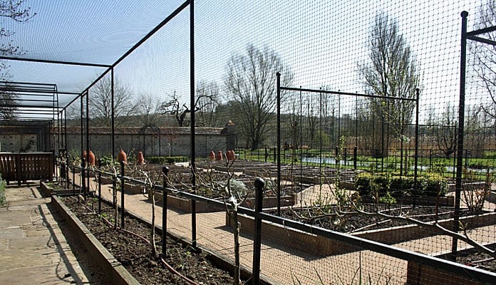 Fruit Cage Complete 2 Fruit Cage Complete 2