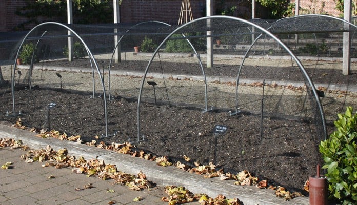 Steel Ground Anchors for Hoops, Chewton Glen Kitchen Garden Steel Ground Anchors for Hoops, Chewton Glen Kitchen Garden