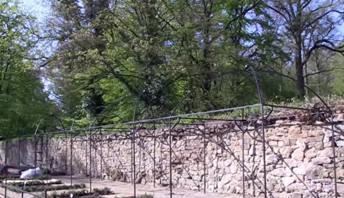 Pergola Linked Dome Cages, 2015 Ippenburg Garden Show Germany