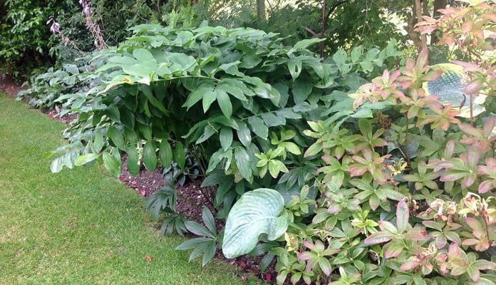 40cm H Rust Border Restaints, Mrs Taylor - Surrey 40cm H Rust Border Restaints, Mrs Taylor - Surrey